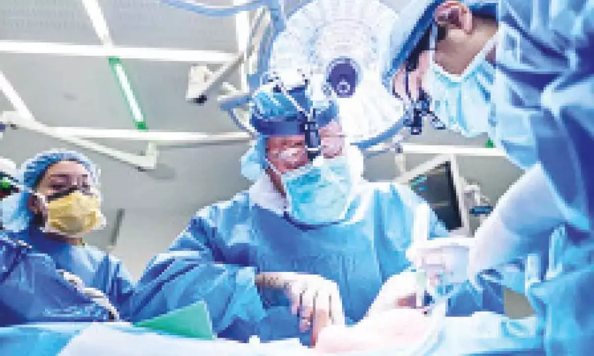 New heart, new you? Can organ transplant change who we are?