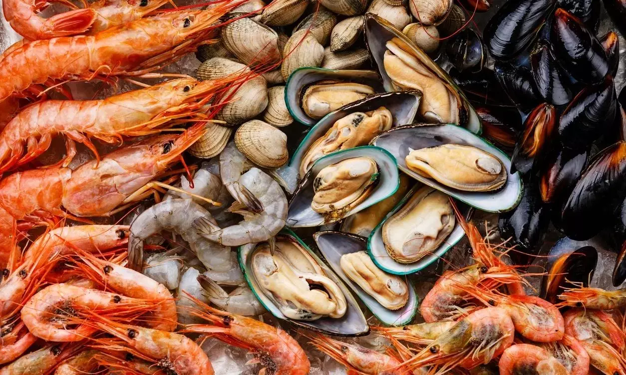 Indias seafood exports to US set to rebound after tariff cut: SEAI