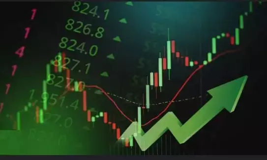 Stock markets bounce back 3% after bloodbath on value-buying