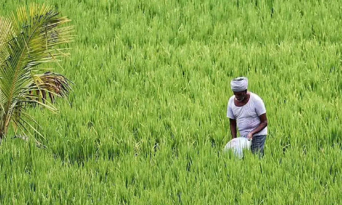 Every Re 1 in agri R&D yields Rs 13 return: NAAS president