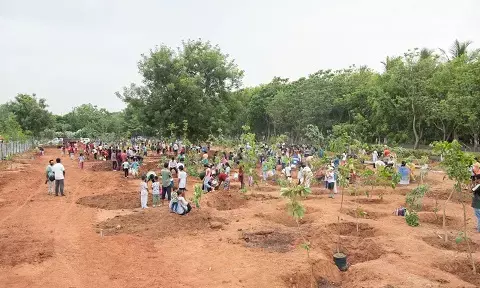 Environment Day observed at Kanha Shanti Vanam,  largest meditation hall in the world