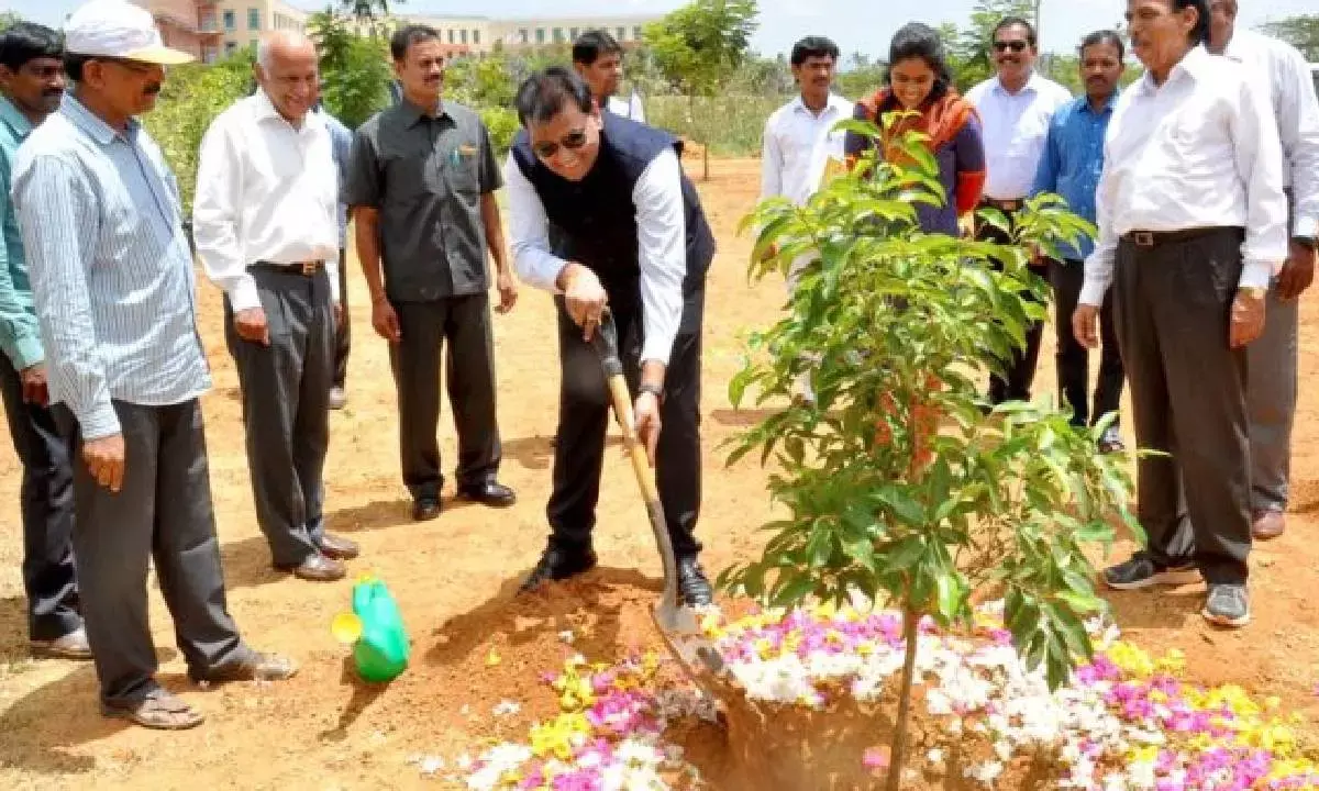 Sri City observes Environment Day
