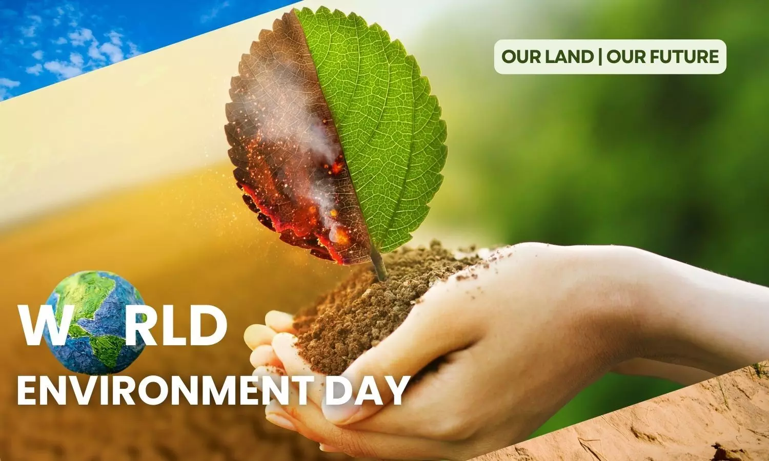 World Environment Day 2024 Theme, Date, Significance, and Quotes