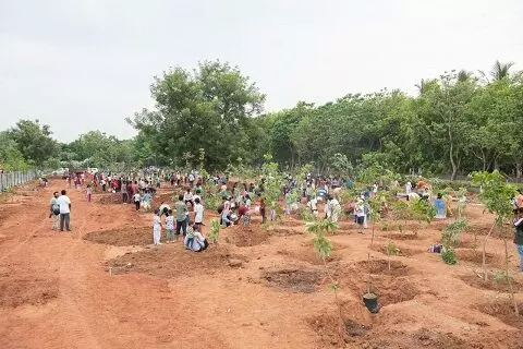 Environment Day observed at Kanha Shanti Vanam,  largest meditation hall in the world Environment Day observed at Kanha Shanti Vanam,  largest meditation hall in the world