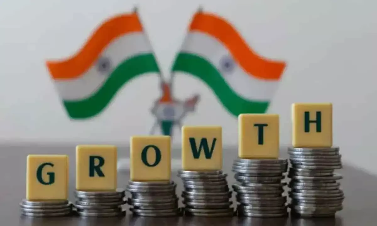 Growth to stay high but inequality a concern: Economists