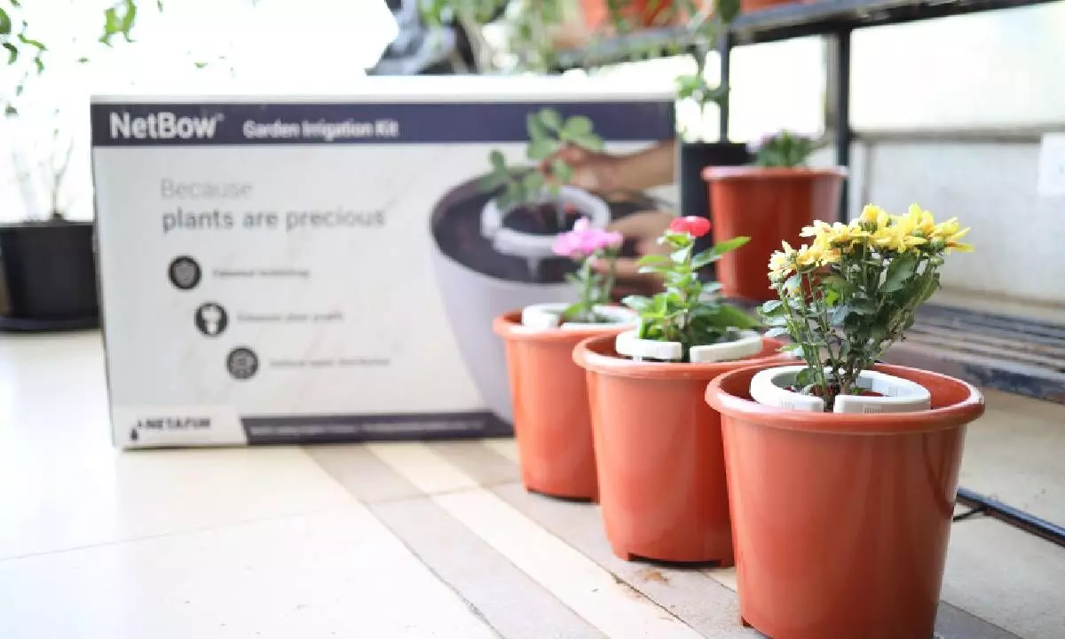 Transforming Home Gardening with Smart Irrigation Solutions Transforming Home Gardening with Smart Irrigation Solutions