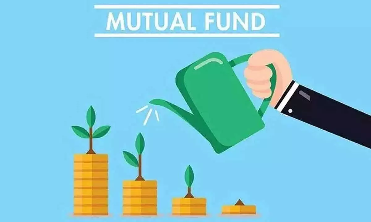 Understand tax provisions before laying hands on any asset Understand tax provisions before laying hands on any asset