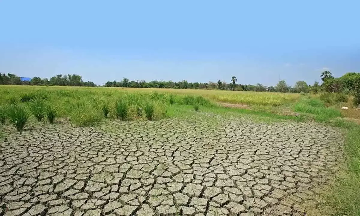 There is need to further enhance climate finance and all the promised help to finance new alternative energy projects in low income and less developed countries are to be delivered