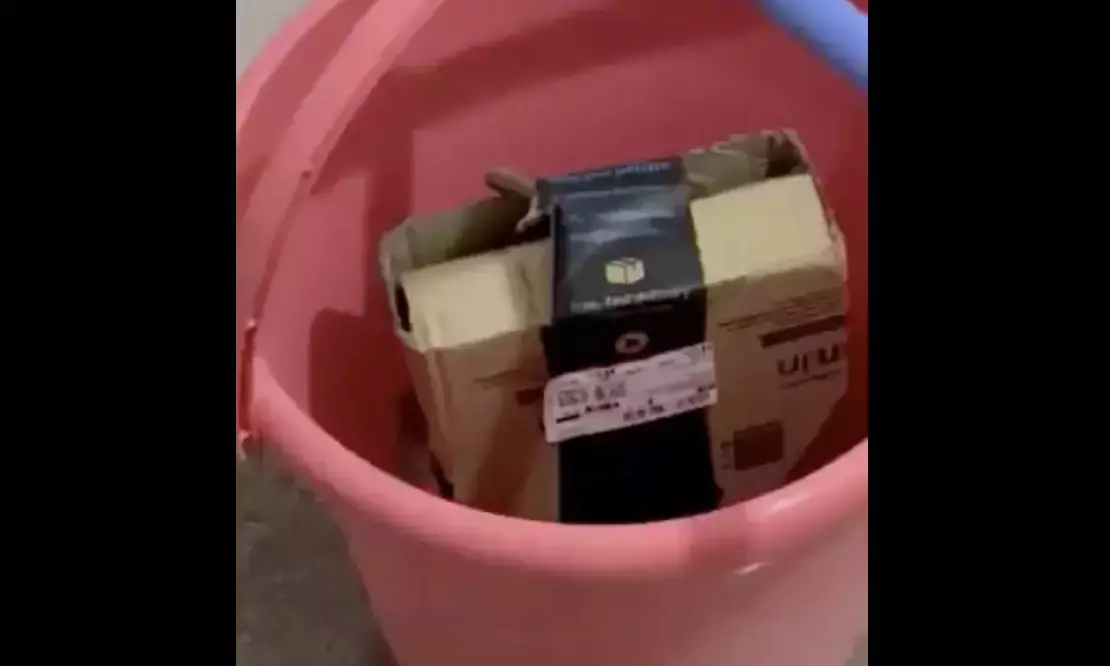 Bengaluru couple finds live cobra in Amazon package: Video