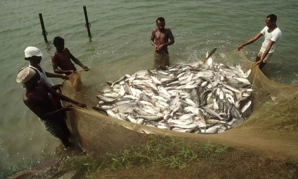Fishermen set to get Kisan Credit Cards