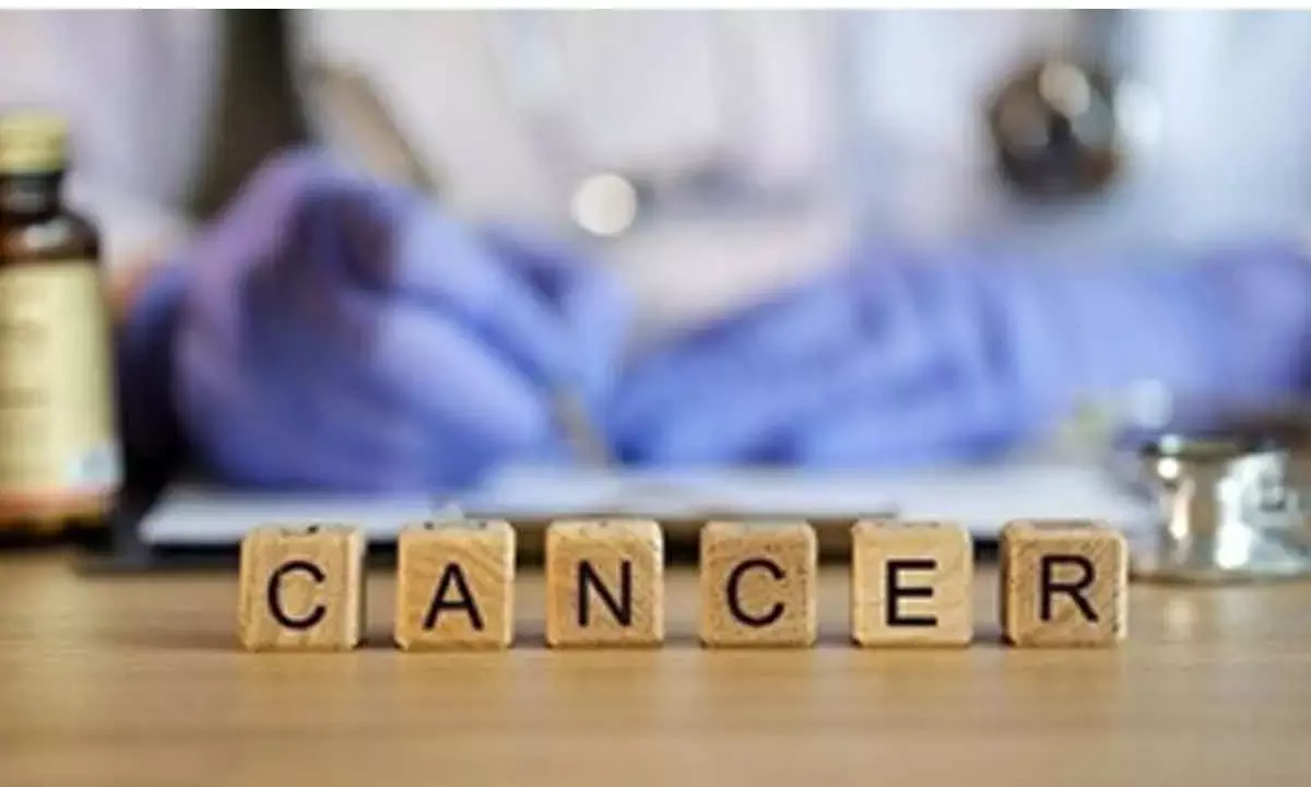 Study shows how resistance to chemotherapies may occur in some cancers