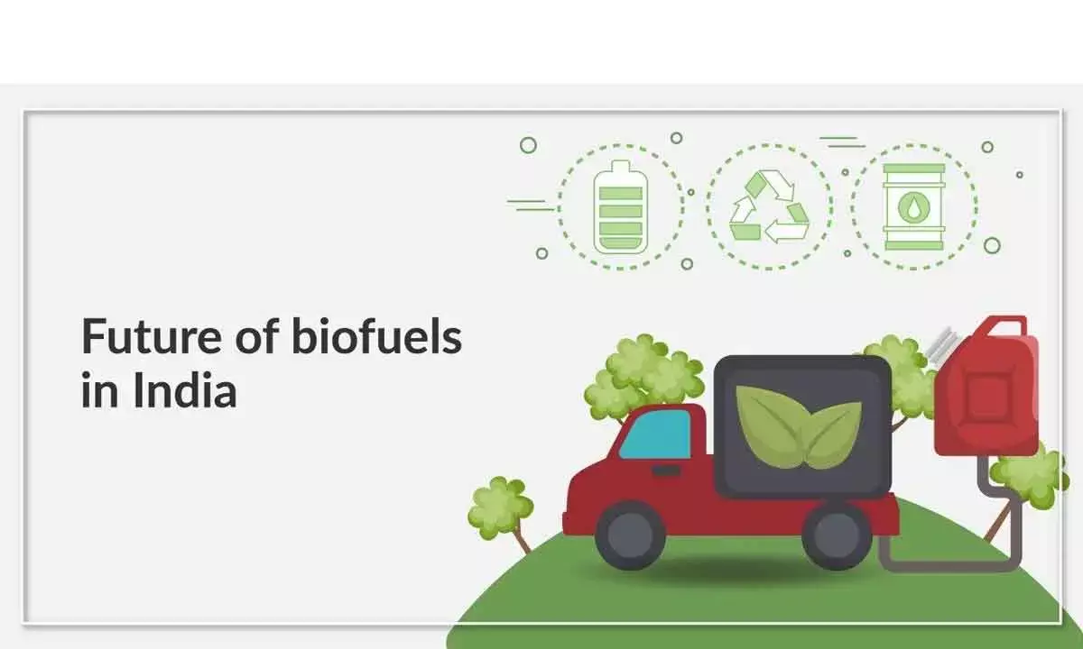 Can India meet its bio-fuel targets remains the million-dollar question