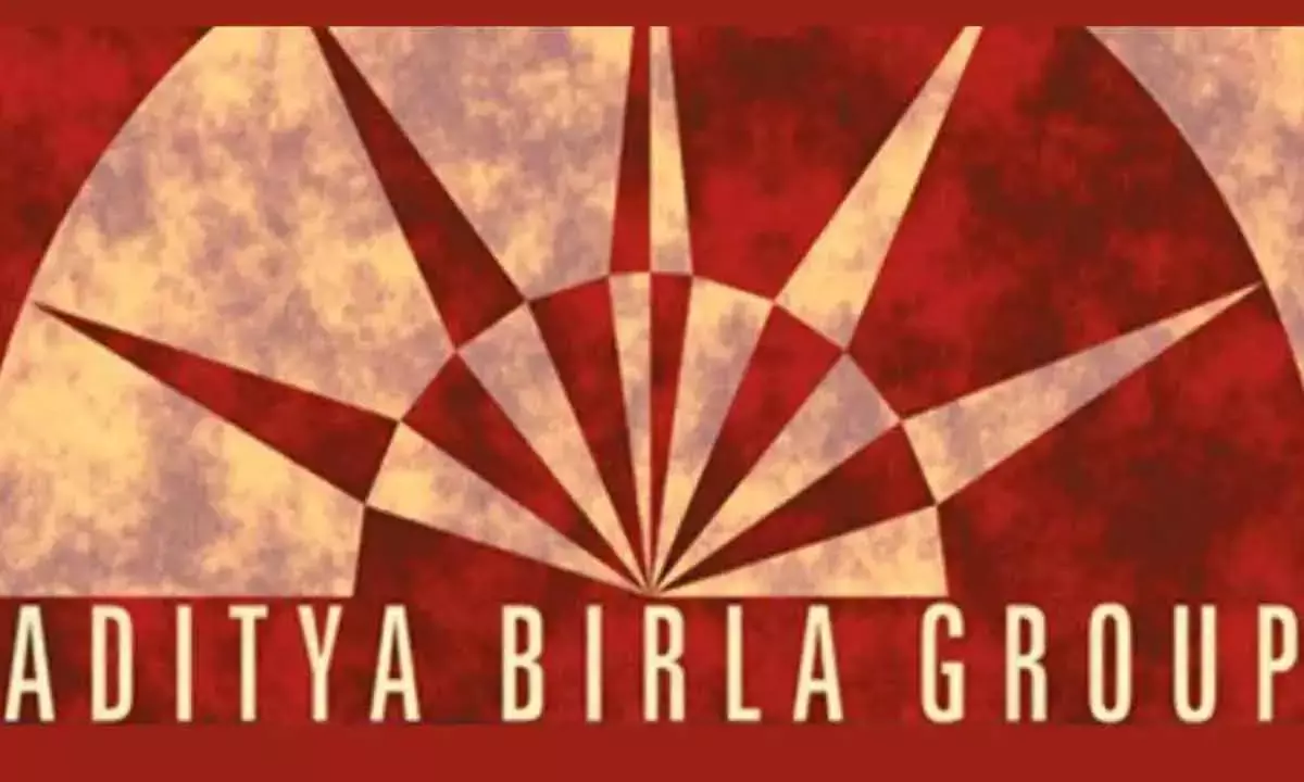 Aditya Birla Group makes $50-mn investment in Texas