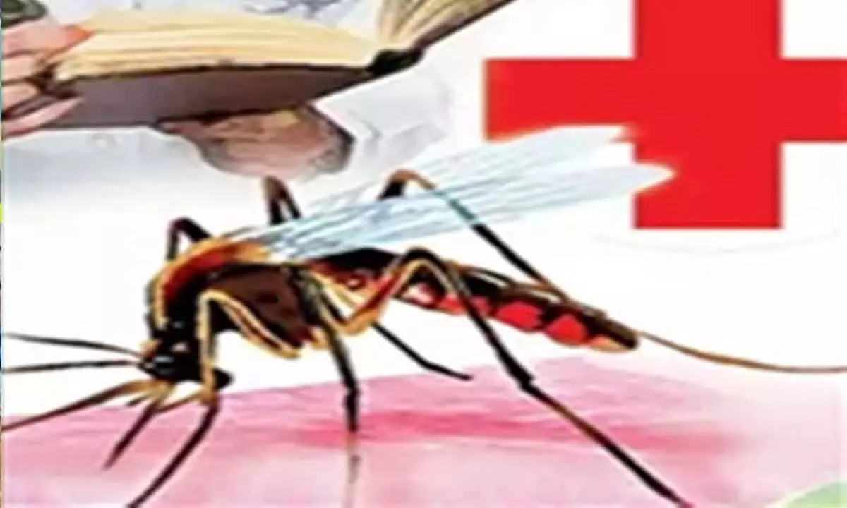 Dengue cases spiraling in various parts of the country