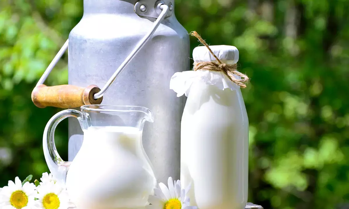 No import of milk, its products under TRQ undertaken since 2014-15: DGFT