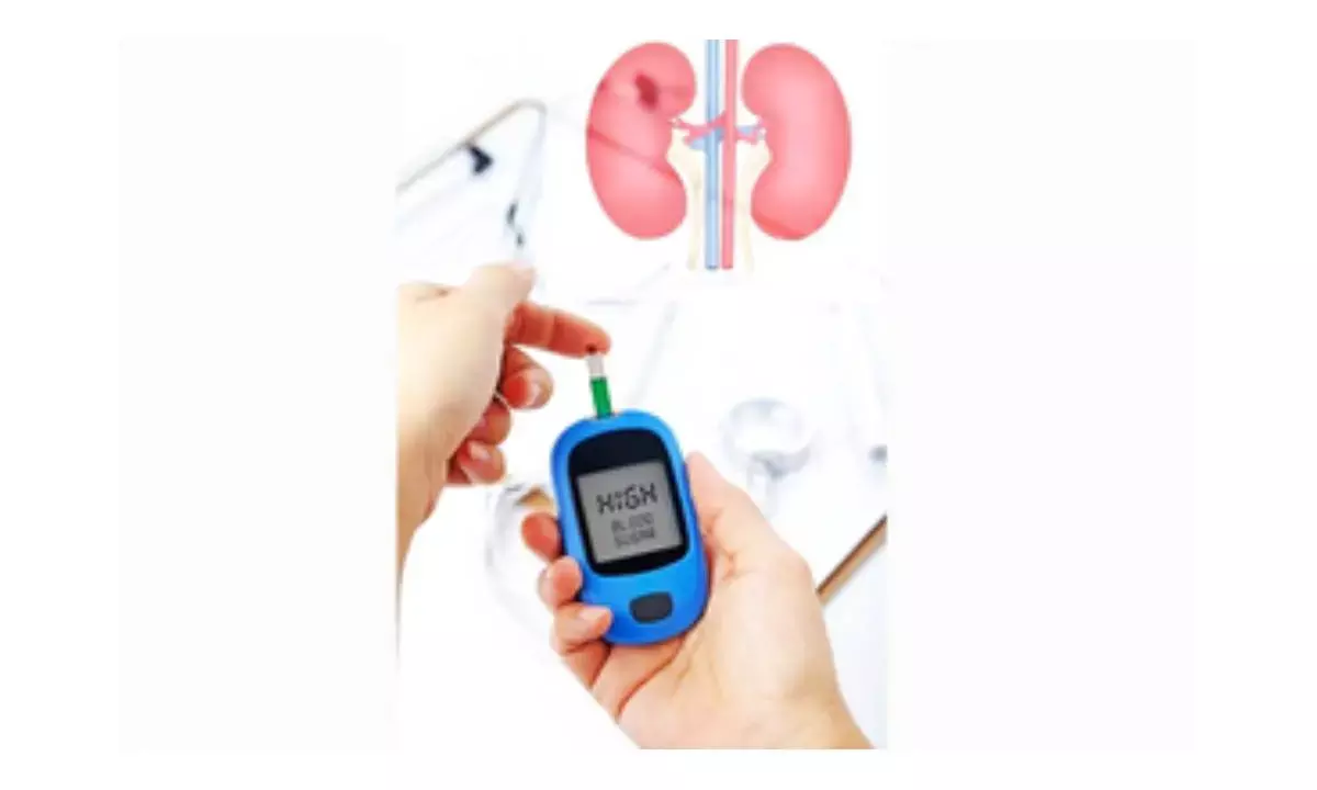Study shows how to protect diabetics from heart & kidney disease