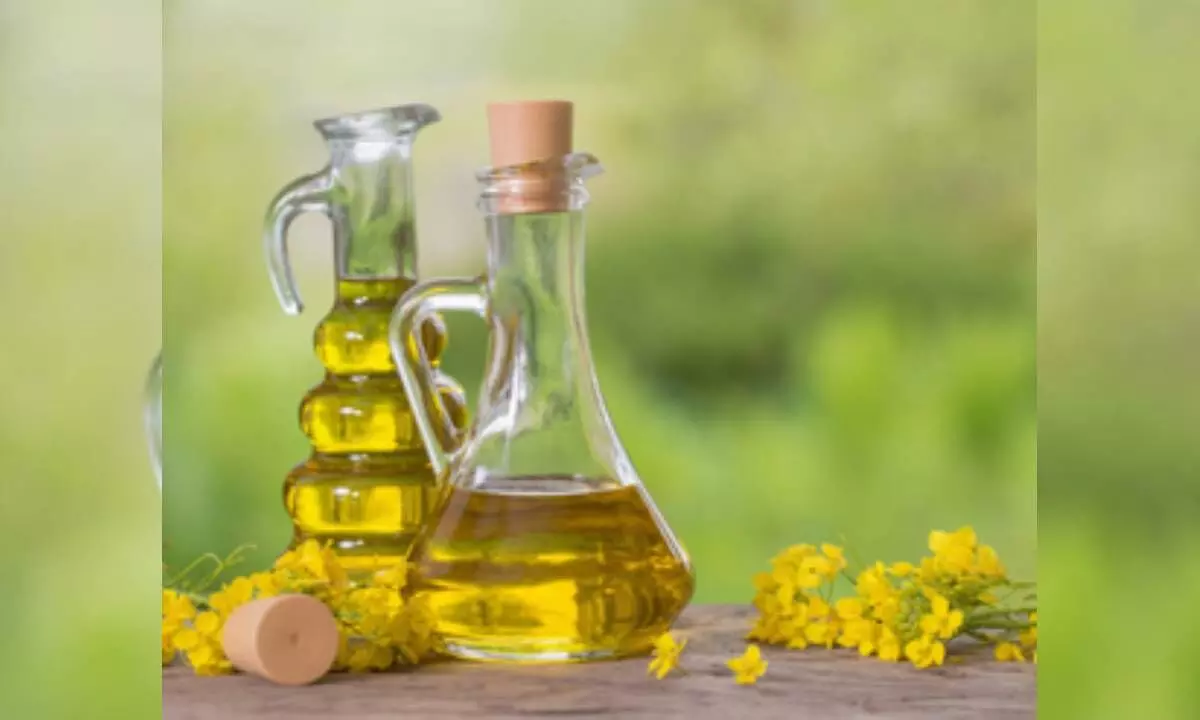 Is replacing butter with high-quality plant oils healthy? Is replacing butter with high-quality plant oils healthy?