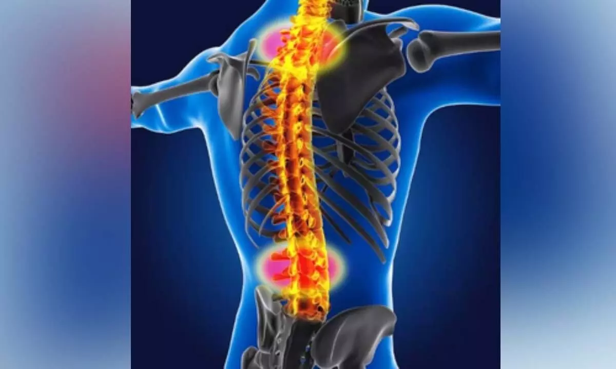 Study shows spinal muscular atrophy may raise risk of liver damage Study shows spinal muscular atrophy may raise risk of liver damage