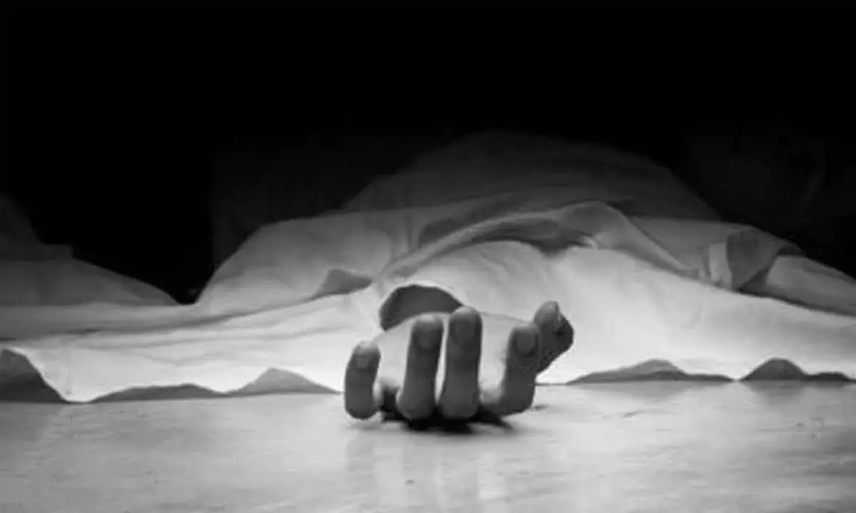 26-Year-Old Indian Migrant Dies in California Over Street Dispute