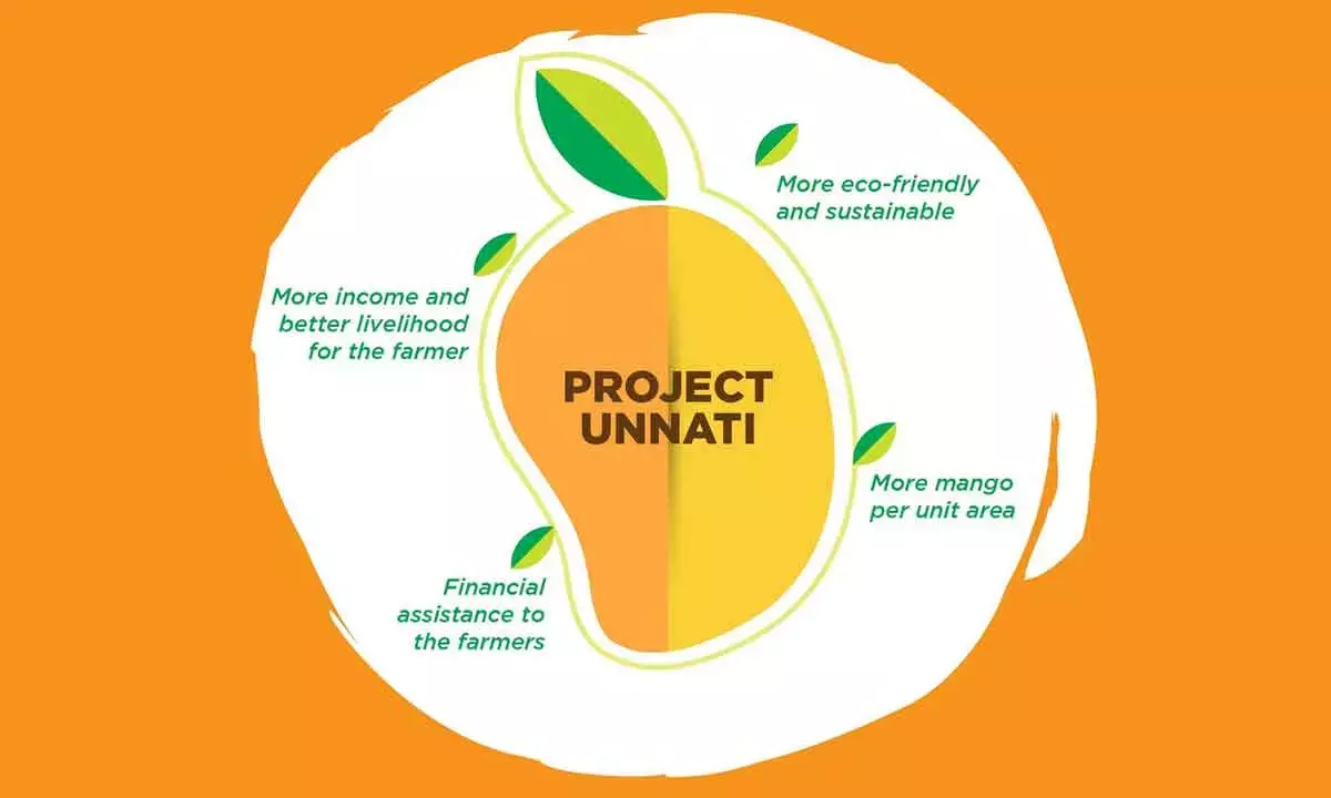 ‘Project Mango Unnati’ can prove to be an effective game-changer