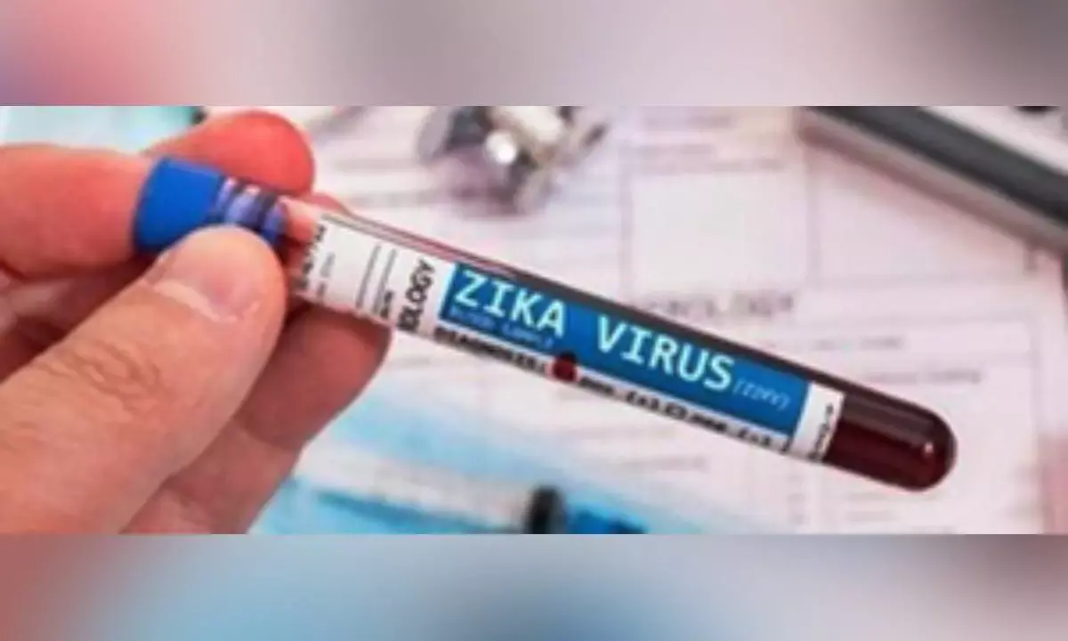 Maternal Zika infection may have long-term effects on babies immune system