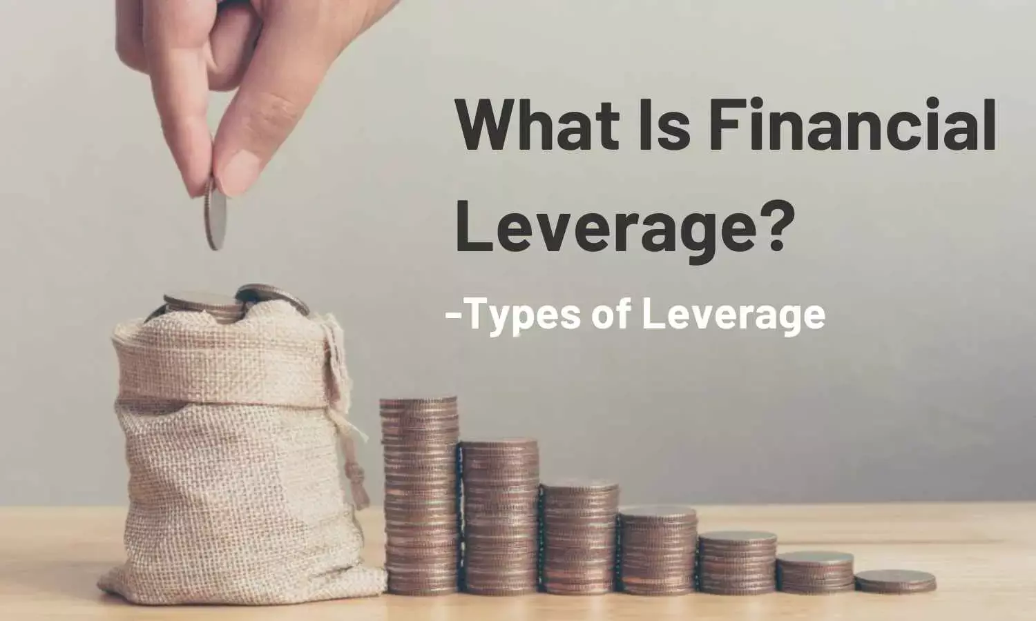 What Is Financial Leverage? | Types of Leverage