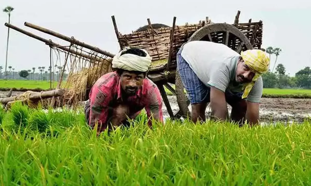 Time to modernise agri sector with corporate investments