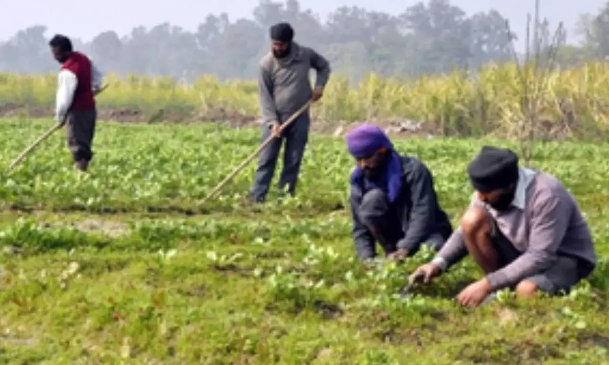Farm sector gets boost as Agri Infra Fund mobilises Rs 73,194 crore: Eco Survey