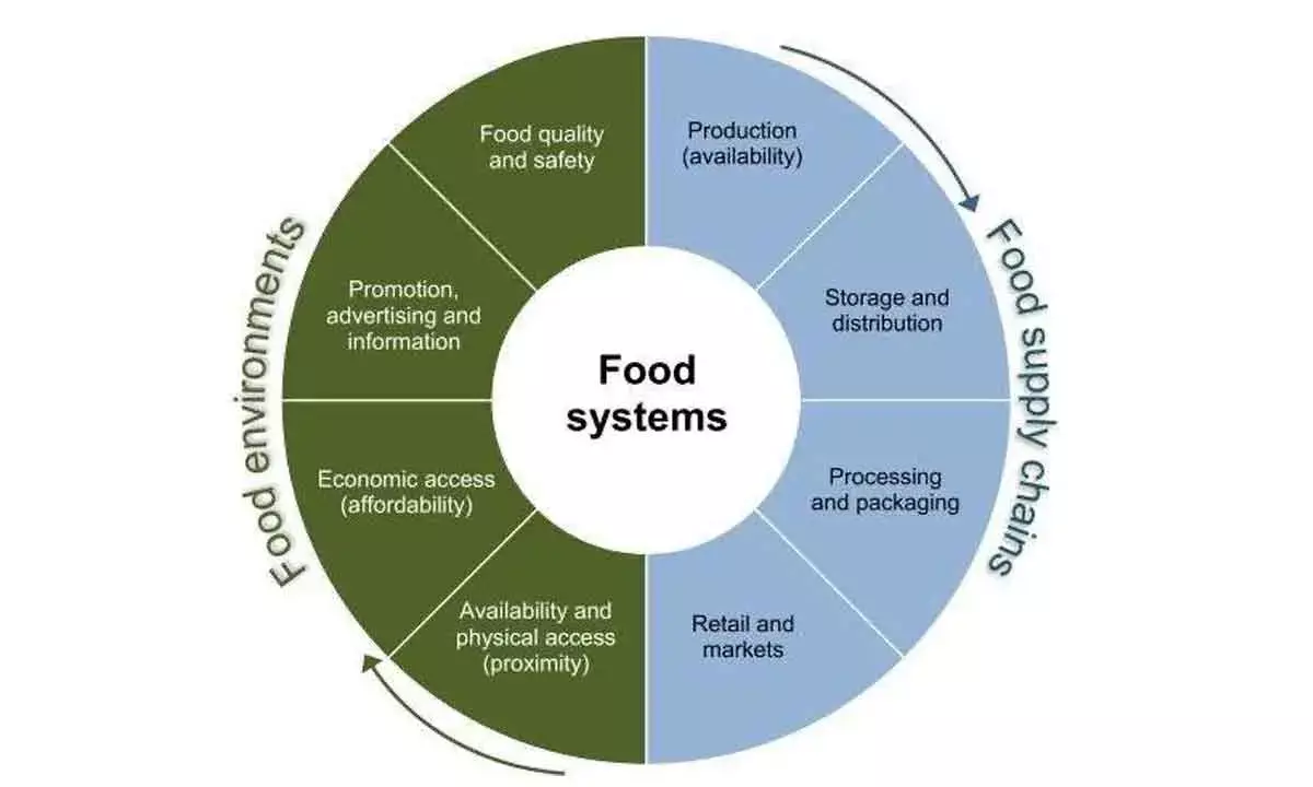 Making global food system sustainable calls for major pioneering initiatives