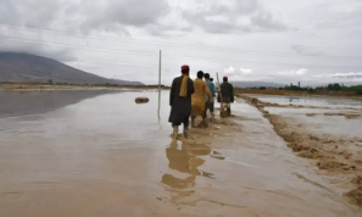 Scientists urge world leaders for unified approach to tackle climate, biodiversity crises