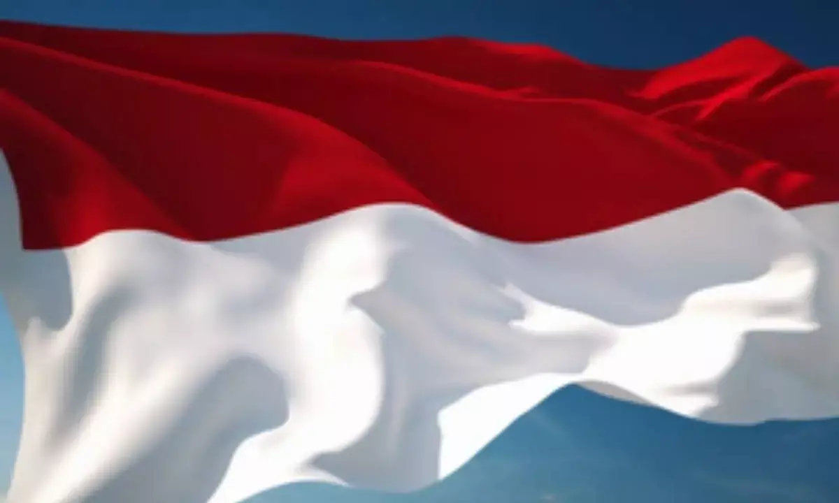 Indonesia intensifies fight against illegal imports
