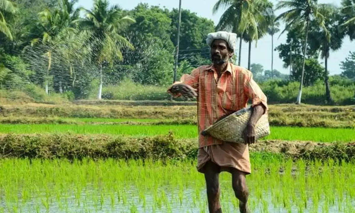 Rs1.52L cr allocated to agri and allied sectors