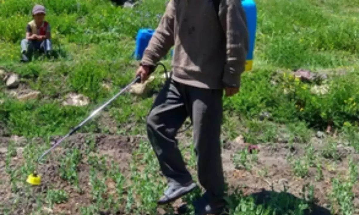 Forever chemicals flourishing in pesticides, warns study