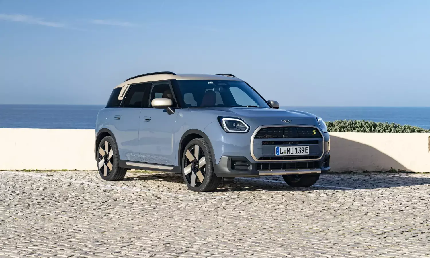 Strongest incentives from the state should be for EVs: BMW