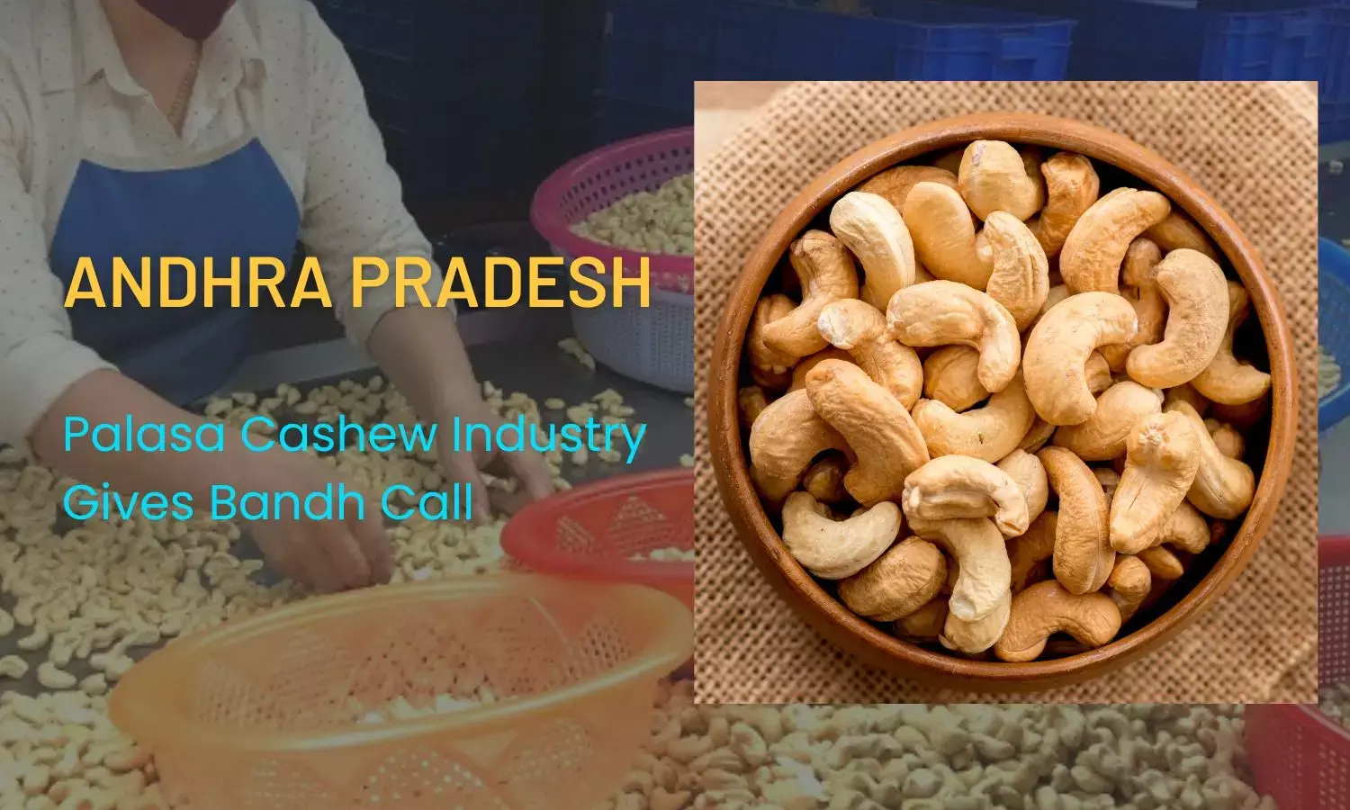 Andhra Pradesh: Palasa Cashew Industry Gives Bandh Call