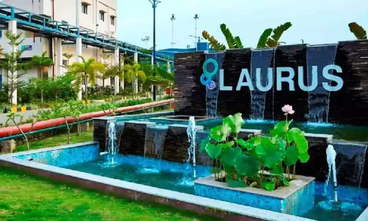 Laurus Labs Q1 profit drops by 48% to Rs 13 cr in FY25