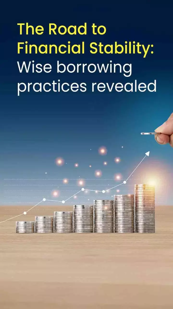 The road to financial stability: Wise borrowing practices revealed