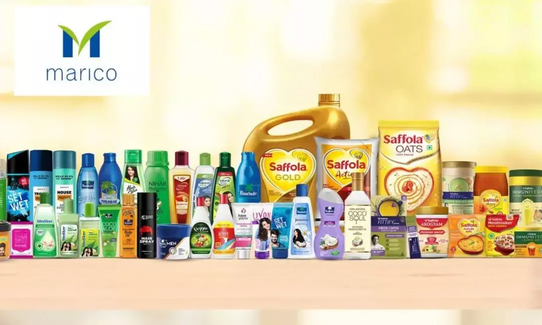 Foods and Premium Personal Care portfolios to contribute 25% revenue by FY27: Marico