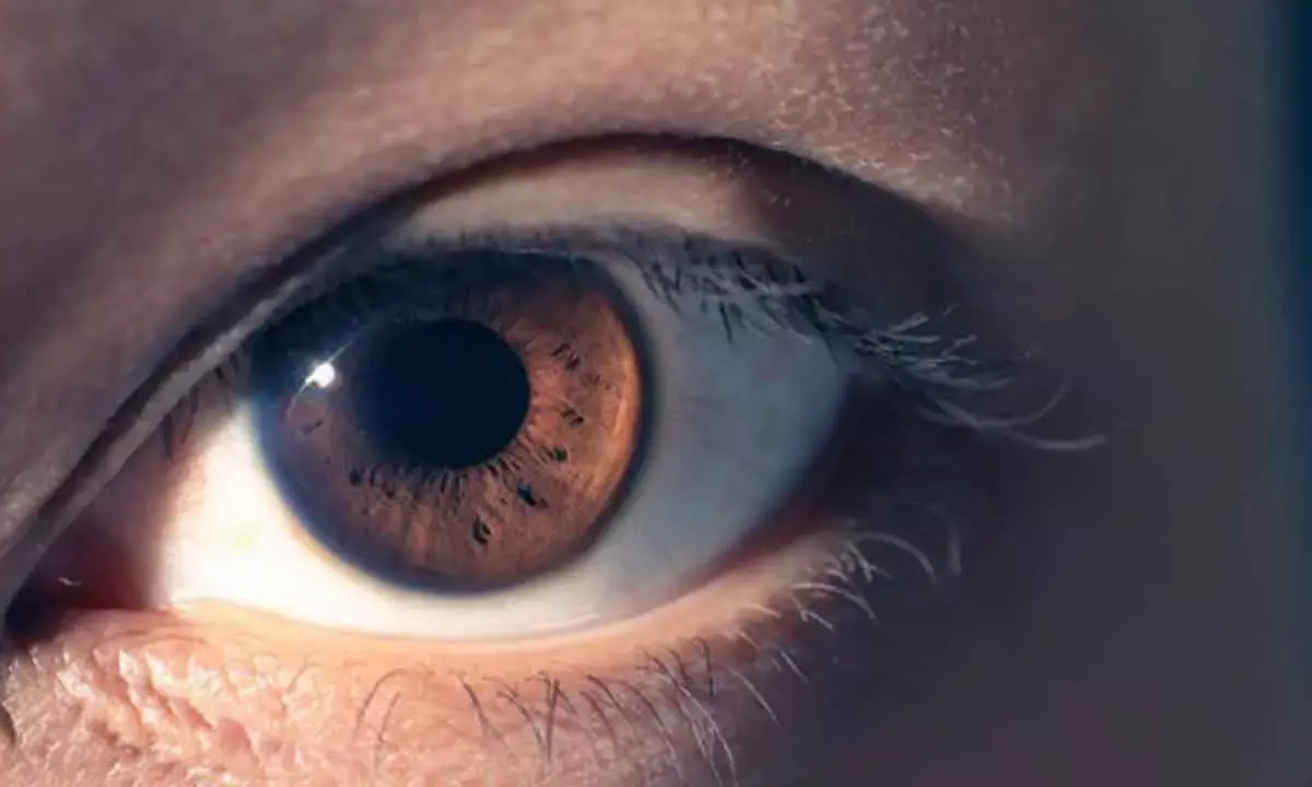 Unique connectivity patterns in people born blind: Study