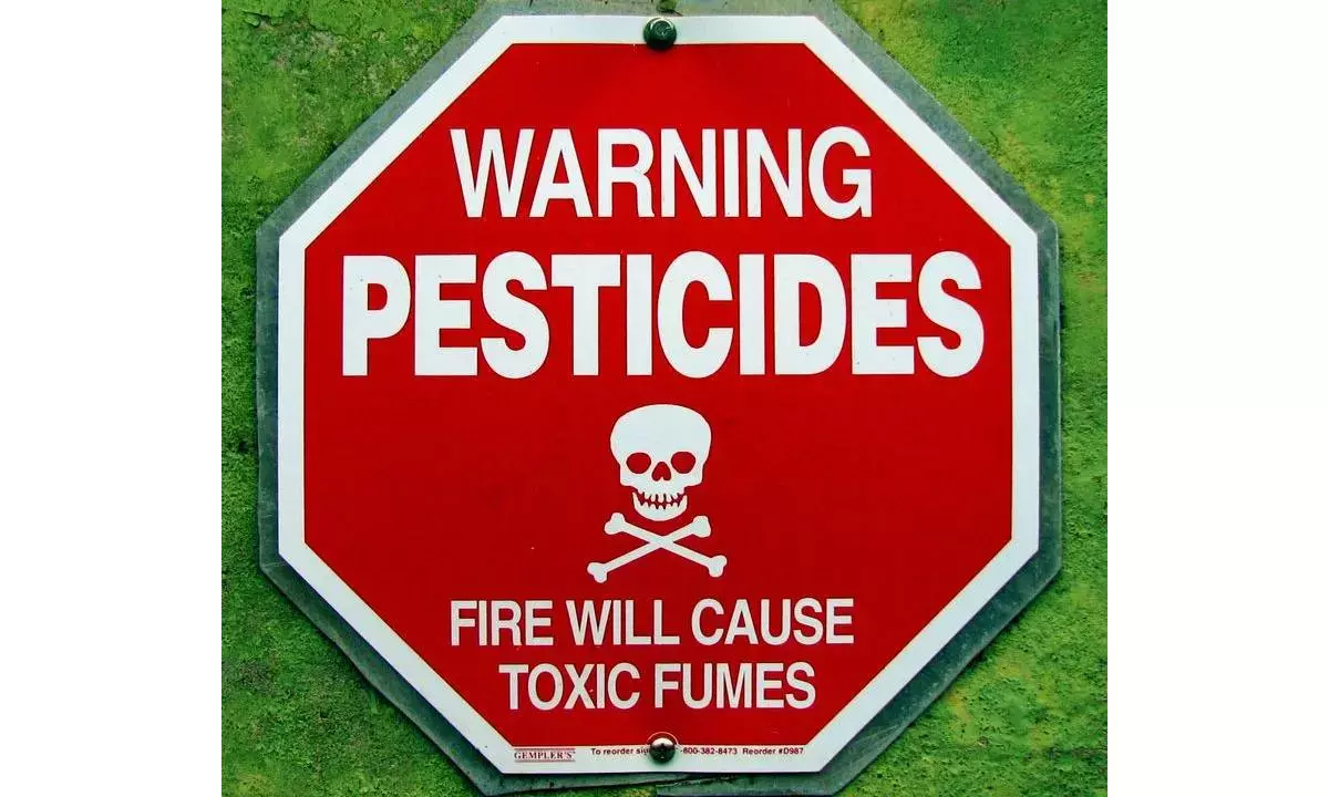 Take cue from cotton farmers in two Haryana villages to avoid getting trapped in Chakravyuah