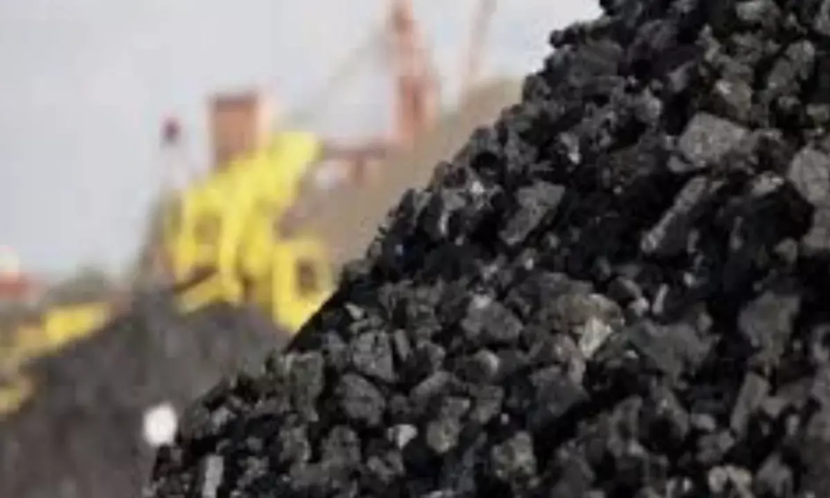 Coal production increased by 11.7%