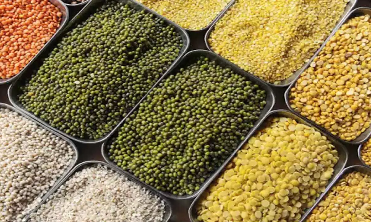 Pulses import jumps 90% in FY24 to 47.38 lakh tonnes