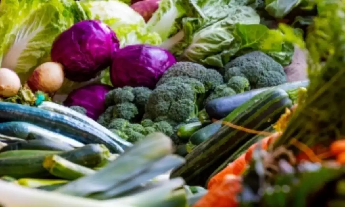 Horticulture Production In India Pegged At 353.19 Million Tonnes In 2023-24: Centre