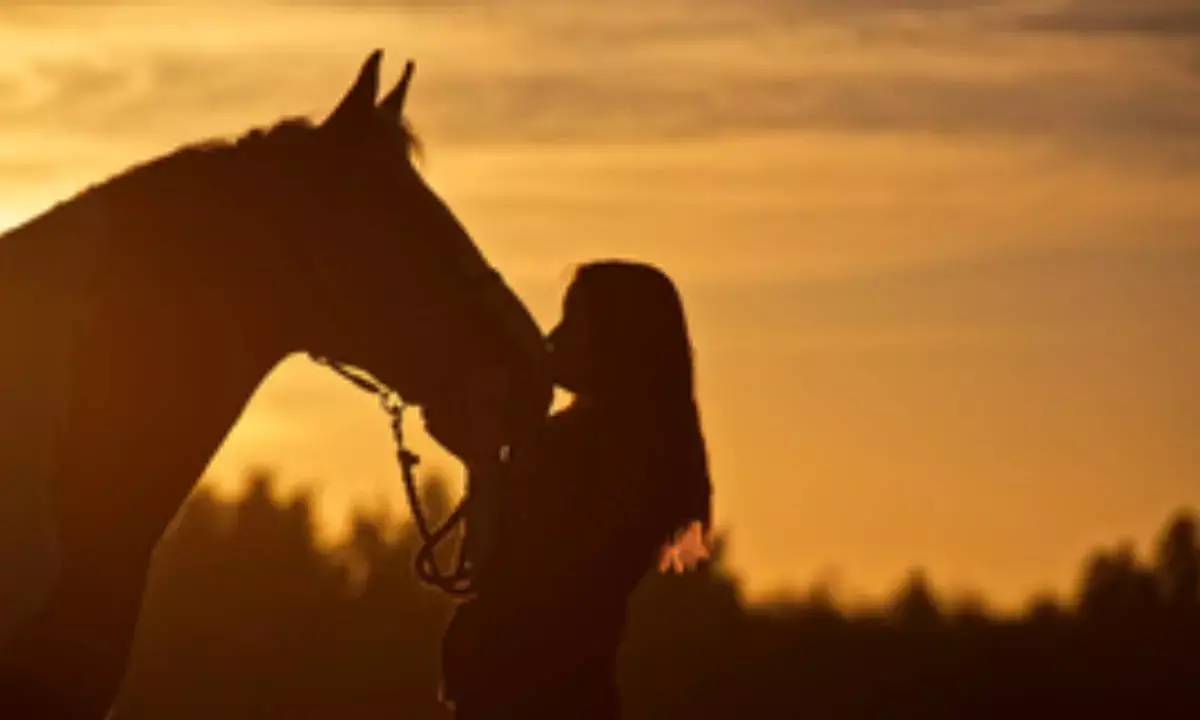 Studying horse miscarriages may explain early human pregnancy loss: Study