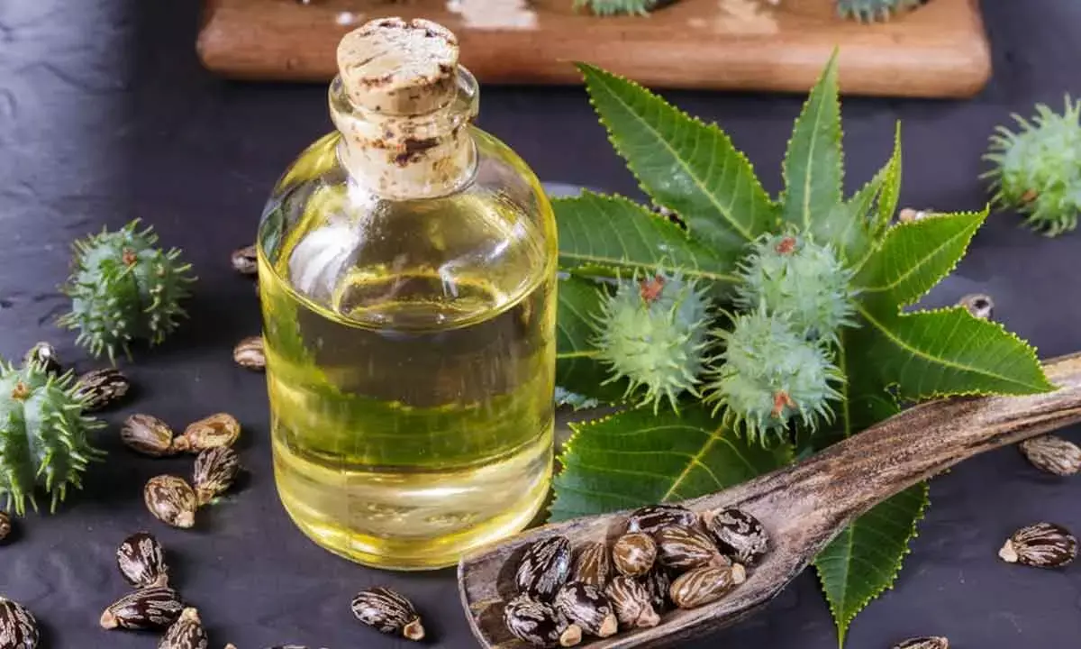 Can castor oil melt belly fat?