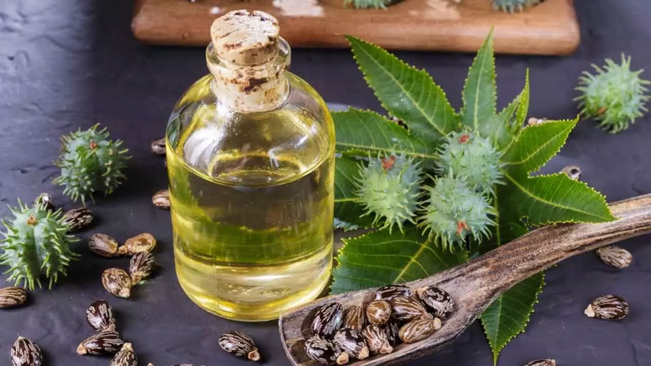 Can castor oil melt belly fat?