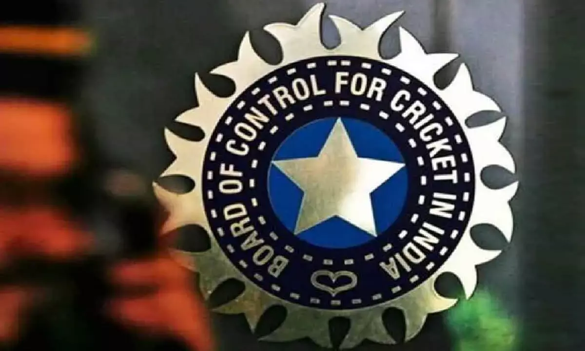 BCCI unveils India’s home schedule for 2025: West Indies & South Africa set to tour