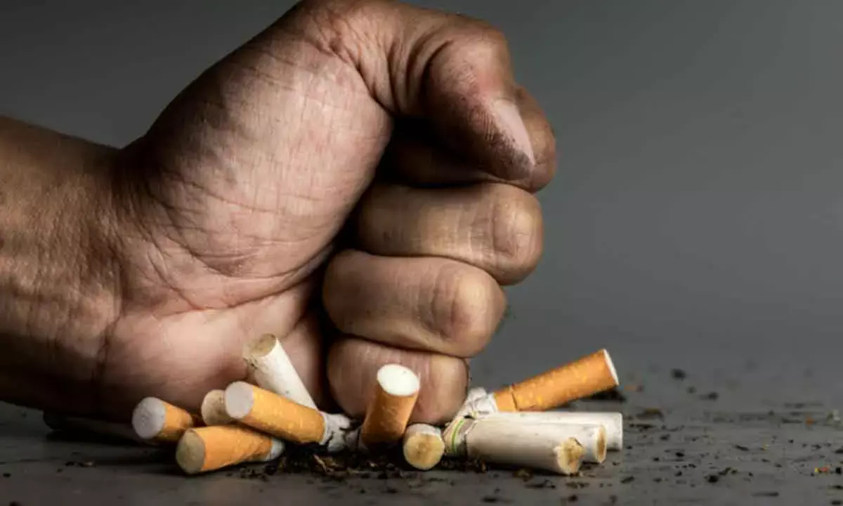 Tobacco alternatives needed to mitigate health risks