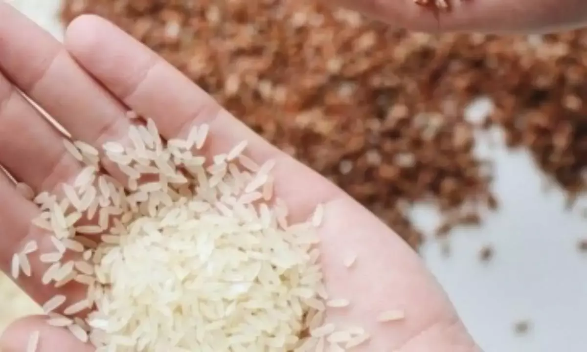 India exported non-basmati rice worth $123 million in April-May