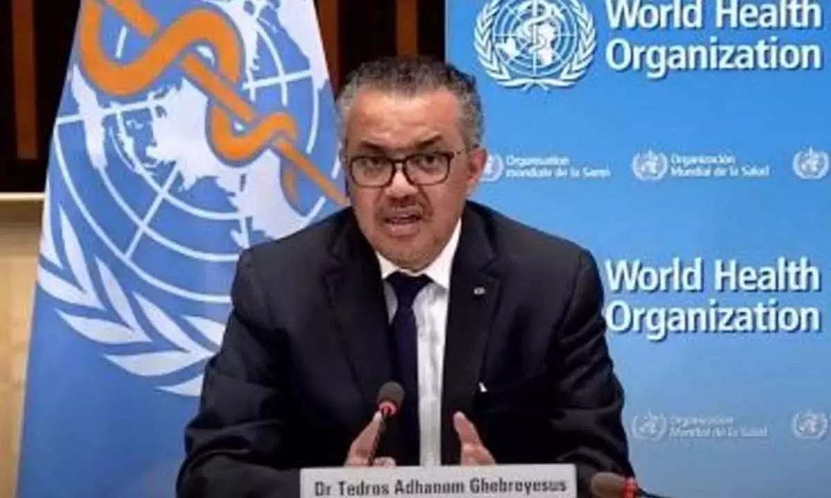 DRC Congo facing severe outbreak of Mpox: WHO